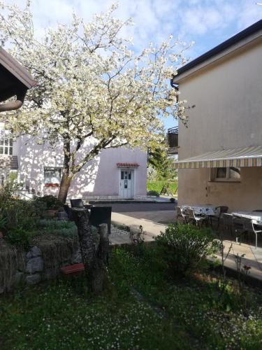  Guest House Surina in Rupa