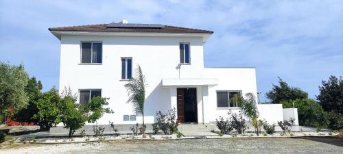 外部景觀, Kiti Village Villa, Cyprus, salt-water pool, 5 bedrooms, Larnaca in 卡斯特拉海灘