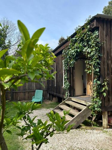 Meraki House