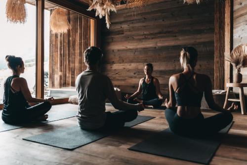 Die Jufenalm - image 2