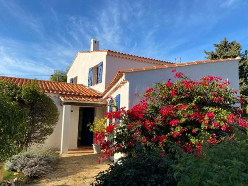 Villa with Garden View