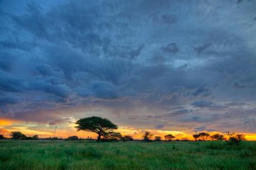 Omgeving, Khoi-Khoi Guesthouse in Otavi