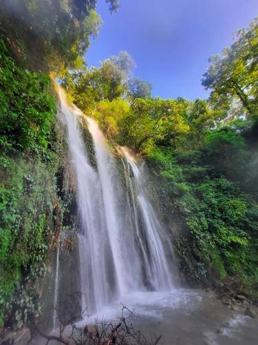 The Corbett Rajae Homestay