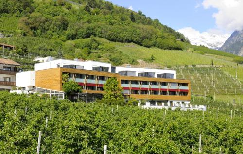 Bio & Wellnesshotel Pazeider - Healing Garden above Meran in Marling