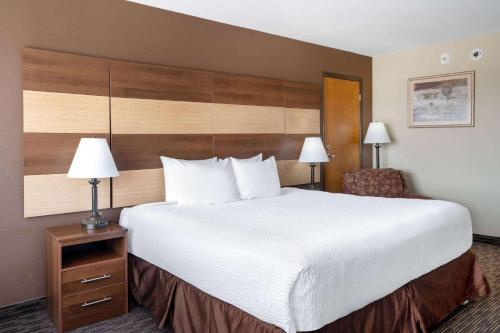 1 king bed