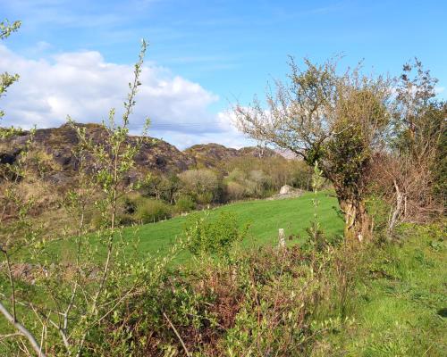 Cuckoo Tree House Glengarriff Beara Peninsula