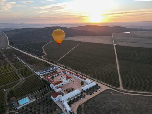 Foto - Torre de Palma Wine Hotel - Design Hotels