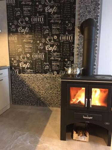 Apartmán s terasou a výhledem na jezero Lipno (Apartman s terasou a vyhledem na jezero Lipno) in Фримбурк