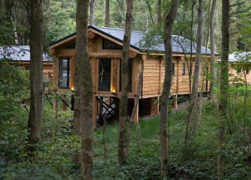 Woodland Park Lodges 1