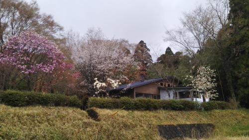 青い空と白い龍, Minami Aso (foto 8)