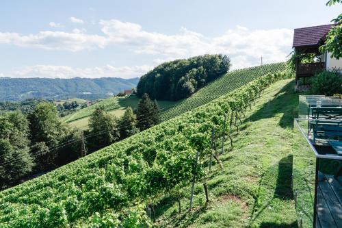 Weingut Sternat vlg. Schmalzpeter