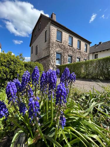 Ferienwohnung am Eberbach