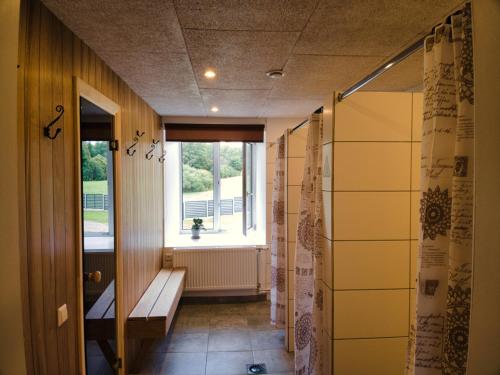 Sauna, Viesu māja Vālodzes (Viesu maja Valodzes) in Alūksne