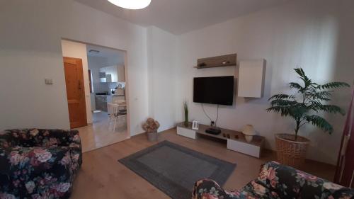 . Selyemakàc apartman