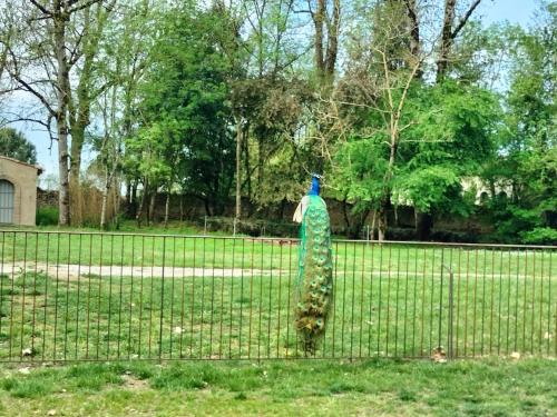 Gites du Château de La Rode pour 2 à 50 Personnes