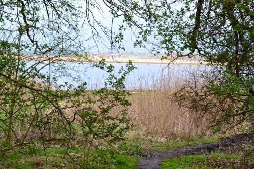 Holbæk. Byhus med fjordudsigt, og 5 min. til bymidten