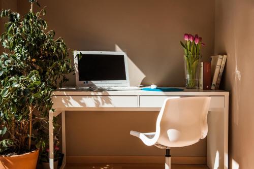Born Barcelona Hostel - image 12