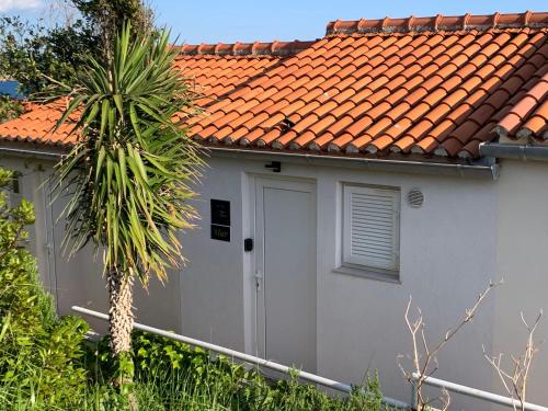 Studio apartment MAR 1