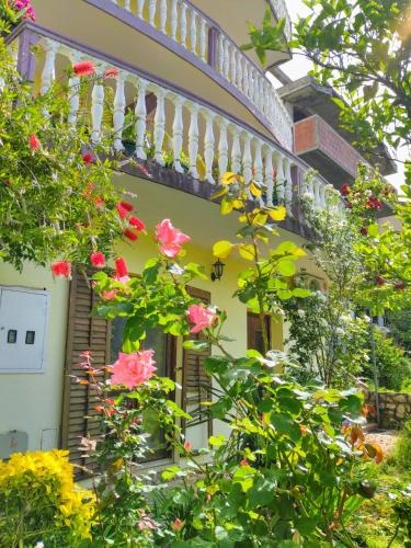 Sunny Villa Apartments 3