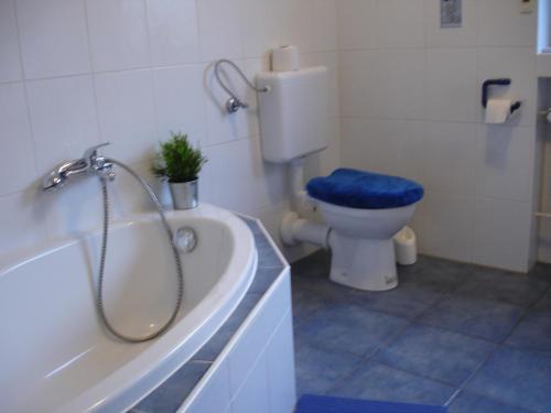 扬森公寓 扬森公寓