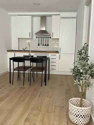 Konyha, Apartamentos La Hormiga Deluxe in Adra