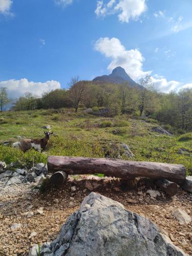 Bližnja znamenitost, Apartma Metka Bovec in Kal-Koritnica