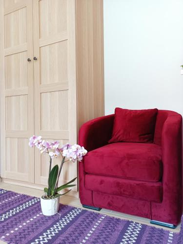 Arcobaleno Rooms Mestre-Venezia Room Type - Double Room with Garden View