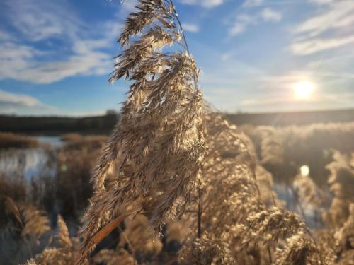 Villa Quality Wellness