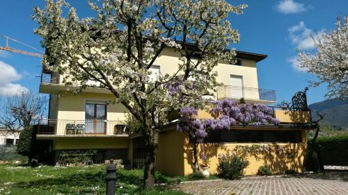 Casa Ferrari Monica