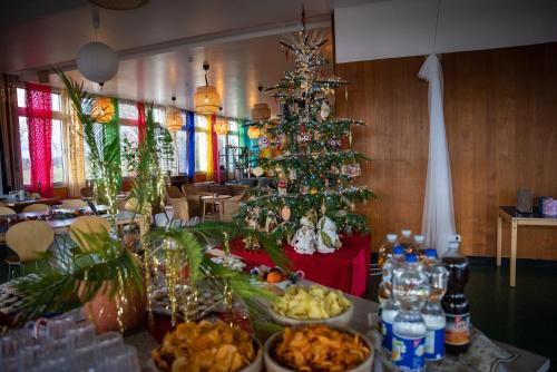 กิจกรรม, Hindu Monastery - Shree Peetha Nilaya Ashram in บัด ชวาลบัค