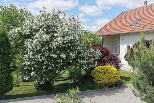 Ferienhaus Ruhe Oase im Bayerischen Wald - Apartment - Traitsching