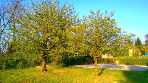B&B Vinago Belvedere