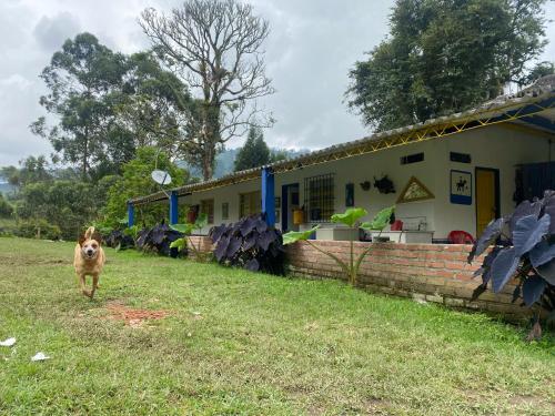 Surrounding environment, Hostal Las Hamacas del Bosque in La Fuente
