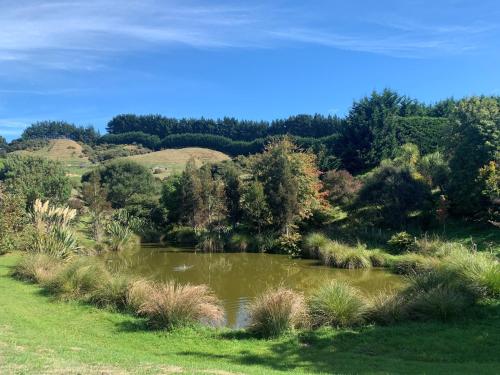 สภาพแวดล้อมโดยรอบ, BENROSE FARM COTTAGES in โพรีรัว