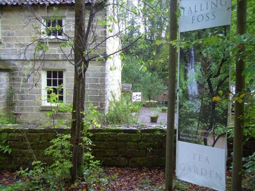 Facilities, Thorpe Green House Vegetarian Bed and Breakfast in Robin Hood's Bay