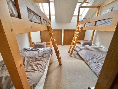 Bunk Bed in Mixed Dormitory Room