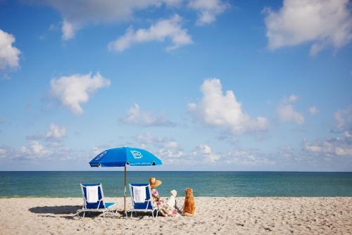 The Betsy Hotel South Beach - image 41