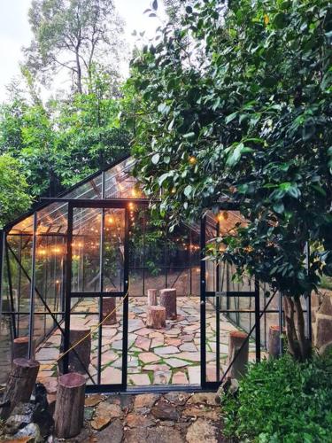 Luxury Treetop Escape with a Garden glasshouse