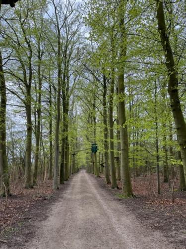 Holbæk. Byhus med fjordudsigt, og 5 min. til bymidten