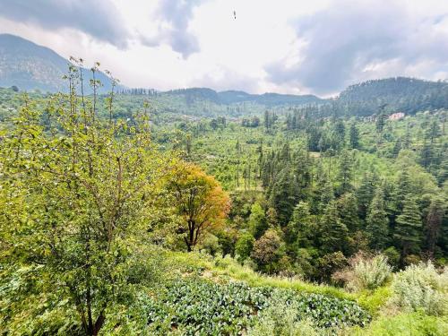 Kasol Hostel