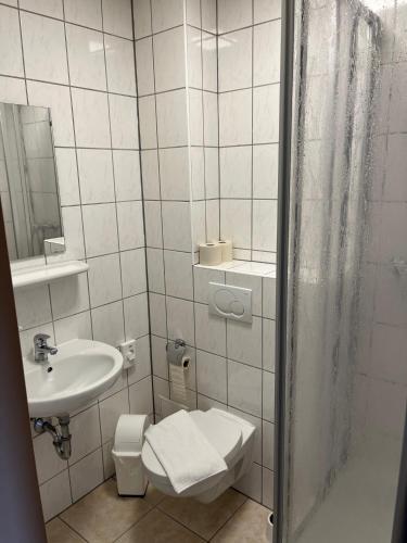 Restaurant und Pension Alberthafen, Drážďany (fotografie 4)