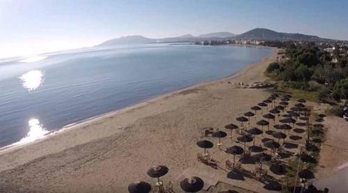 VILLA AVATOS 3 - Near to the port of Rafina and the airport of Athens 3