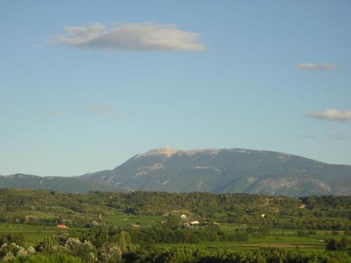 Le Mas de l'Amandier - image 10