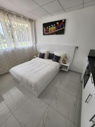 Hello-Guyane, Marina 3, Studio Prestige 5 étoiles, Saint-Laurent-du-Maroni (foto 3)