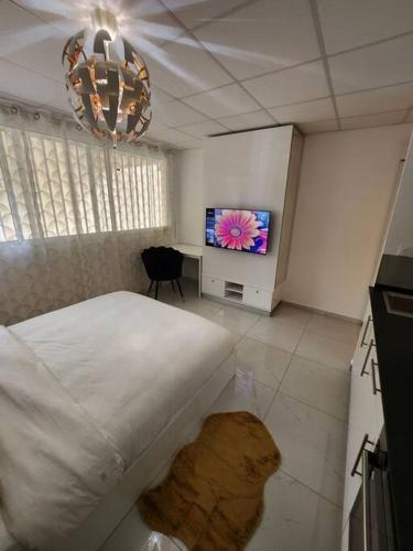 Hello-Guyane, Marina 4, Studio Prestige 5 étoiles, Saint-Laurent du Maroni (photo 8)