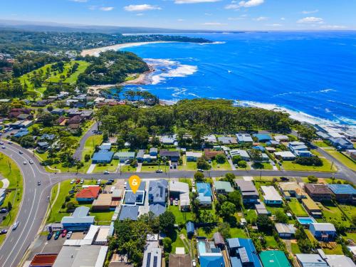 Palmera on the south coast, Ulladulla (fotografie 5)