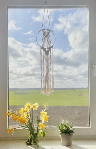 Ab ins Grüne - Ferienwohnungen in Zettemin in Zettemin, Deutschland