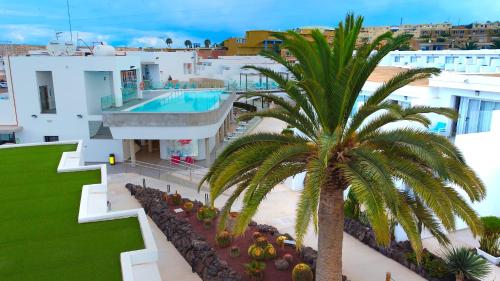 Hotel Taimar