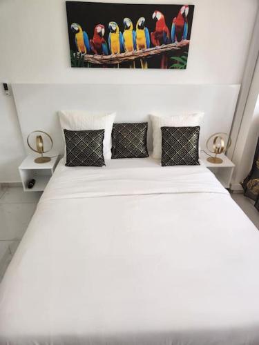 Hello-Guyane, Marina 5, Studio Prestige 5 étoiles, Saint-Laurent du Maroni (photo 6)