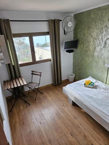 SEVEN Hostal 3